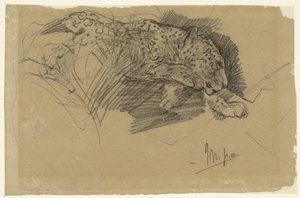Leopardin tutkimukset tekijältä John Macallan Swan