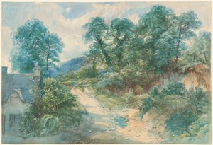 Country Lane