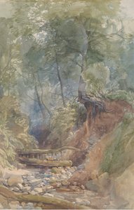 Puro lähellä Clovellyä, Pohjois-Devon, 1850.