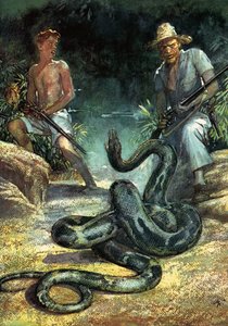 Sveitsiläinen perhe Robinson tekijältä John Millar Watt