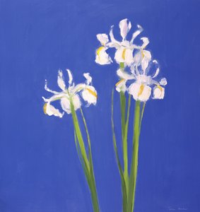 Hollantilainen valkoinen Exelsior, 2000 tekijältä John Miller
