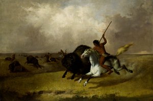 Buffalo Hunt Southwestern Prairies, 1845.