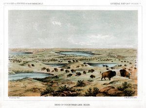 Biisonilauma lähellä Jessie-järveä, Pohjois-Dakota, Yhdysvallat, 1856.