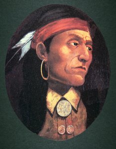 Pontiac (1720-69) 1763 (öljy kankaalle) tekijältä John Mix Stanley