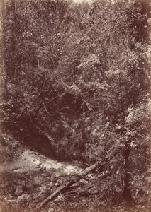 Darienin retkikunta, 1871 (kuva) tekijältä John Moran