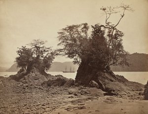 Saaret Lemon Bayssa, 1871. tekijältä John Moran