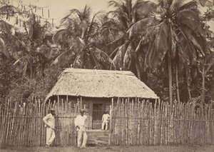 Trooppinen maisema, Native Hut, Turbo, 1871.