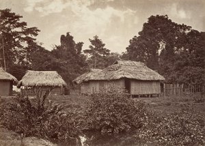 Trooppinen maisema, Turbo Village, 1871.