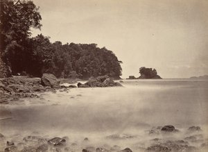 Trooppinen maisema, näkymä Limon Baylle, 1871.