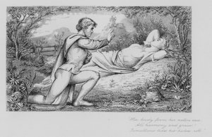 Robert Burns: Blooming Nelly (kaiverrus)