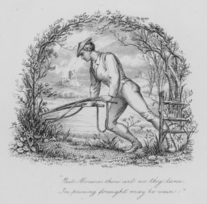 Robert Burns: Hiirelle (kaiverrus)