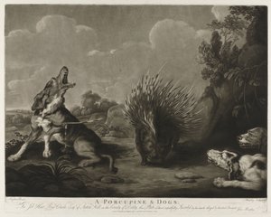 Porcupine ja kolme koiraa Porcupine & Dogs (otsikko esineessä)