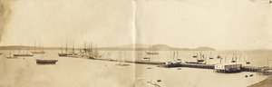 Aucklandin satama, 1865 (albumiprintti)