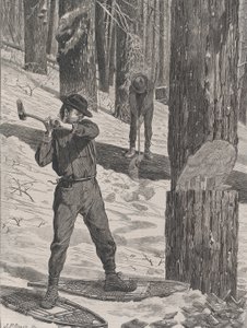 Puutavaraa talvella Joka lauantai, Vol. II, uusi sarja, 28. tammikuuta 1871.