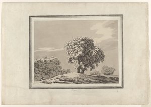 Jalava tekijältä John Robert Cozens