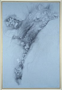Sammalta ja villimansikka tekijältä John Ruskin