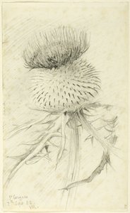 St. Cergues tekijältä John Ruskin