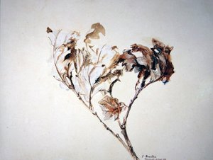 Tutkimus tammilehdistä tekijältä John Ruskin