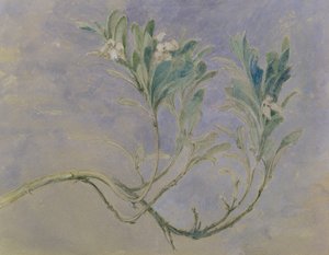 Huonekalut ja erilaiset esineet 1100- ja 1300-luvuilta tekijältä John Ruskin