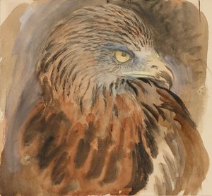 Leijan pää, Lifesta, 30. elokuuta - 1. syyskuuta 1870. tekijältä John Ruskin