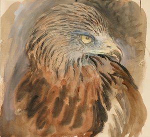 Leijan pää, Lifesta, 30. elokuuta - 1. syyskuuta 1870. tekijältä John Ruskin