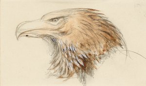 Yhteisen kultakotkan pää, elämästä, 8.-11.9.1870. tekijältä John Ruskin
