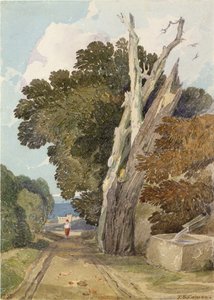 Huonekalut ja erilaiset esineet 1100- ja 1300-luvuilta tekijältä John Sell Cotman