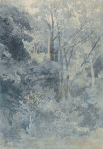 Rokeby Parkissa tekijältä John Sell Cotman