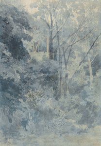 Rokeby Parkissa tekijältä John Sell Cotman
