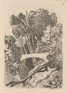 Liber Studiorum: Levy 11: Parsons Bridge, Cardingshire, 1838 tekijältä John Sell Cotman