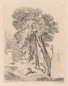 Liber Studiorum: Plate 18, Trees at Norwich Thorp, Norfolk tekijältä John Sell Cotman