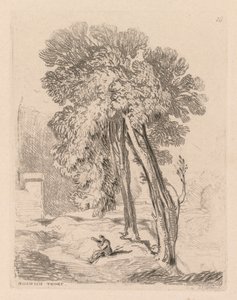 Liber Studiorum: Plate 18, Trees at Norwich Thorp, Norfolk, 1838. tekijältä John Sell Cotman