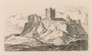Tutkimuskirja: Plate 30, Bambro