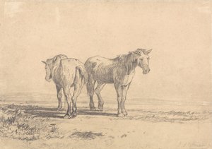 Kaksi vanhaa hevosta seisoo pellolla tekijältä John Sell Cotman