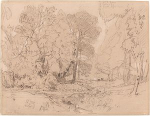 Metsäinen maisema tekijältä John Sell Cotman