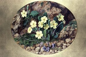 Esikot ja violetit