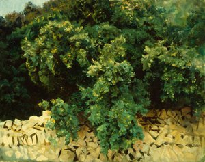 Ilex Wood, Mallorca tekijältä John Singer Sargent
