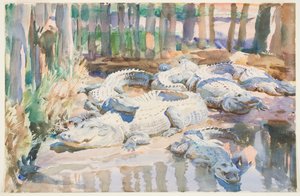 Muddy Alligators, 1917 (wc grafiitin päällä paperilla) tekijältä John Singer Sargent