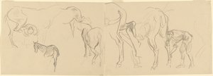 Tutkimukset "Golgatan hevosten kenkiminen edessä" [recto] tekijältä John Singer Sargent