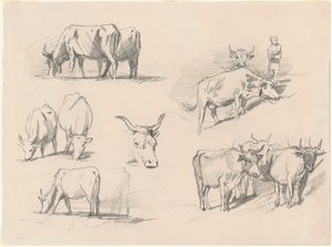 Studies of Nauta, n. 1872. tekijältä John Singer Sargent