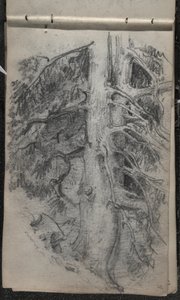 Tutkimus puusta, 1871-72 (grafiitti tummalla luonnonvalkoisella kudospaperilla) tekijältä John Singer Sargent