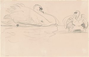 Joutsenet vedessä, 1880-1900. tekijältä John Singer Sargent