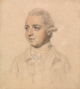 Retrato de um jovem tirado da vida, voltado para o finlandês esquerdo