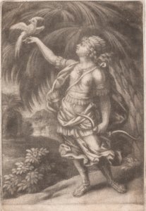 Falconer tekijältä John Smith
