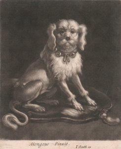 Um Cachorro Pequeno, Usando uma Coleira com Sinos.finlandês tekijältä John Smith