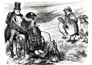Sarjakuva, joka kommentoi Grouse Shootingin keskeyttämistä, jotta osakekanta voidaan rakentaa uudelleen. Kuvittanut John Tenniel (1820-1914), englantilainen kuvittaja, graafinen humoristi ja poliittinen sarjakuvapiirtäjä tekijältä John Tenniel