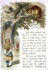 Cheshiren kissa tekijältä John Tenniel