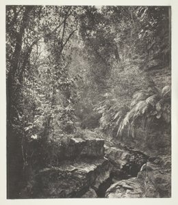 Formosan vuoristosola tekijältä John Thomson