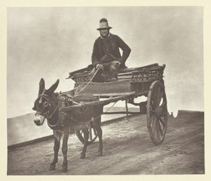 Black Jack, 1881. tekijältä John Thomson