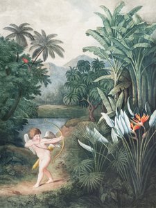 Cupido inspiroi kasveja rakkaudella – teoksesta *Flora-temppeli* (1807), kirjoittanut Robert John Thornton tekijältä John Thornton